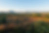 Desert Landscape at Sunrise
