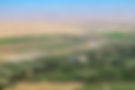 Agricultural Farms