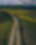 Countryside Landscape