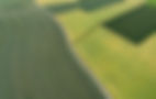 Agricultural Fields