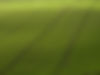 Arial View of Green Field