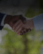 real estate agents shaking hands