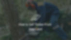 Photograph of a man cutting down a tree with a chainsaw with text overlay "How to Sell Timber from your land"