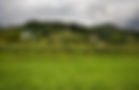 background4.jpg