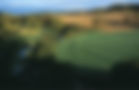 Background3 (1).jpg