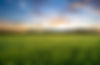 Background2 (1).jpg