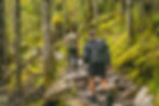 Hiking