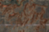 Topography Land Data