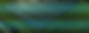 Lease for Solar Header.png