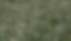 Solar farm map from landapp.png